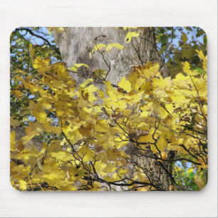 ALFOMBRILLA DE RATÓN SALIDAS DE OTOÑO AMARILLO