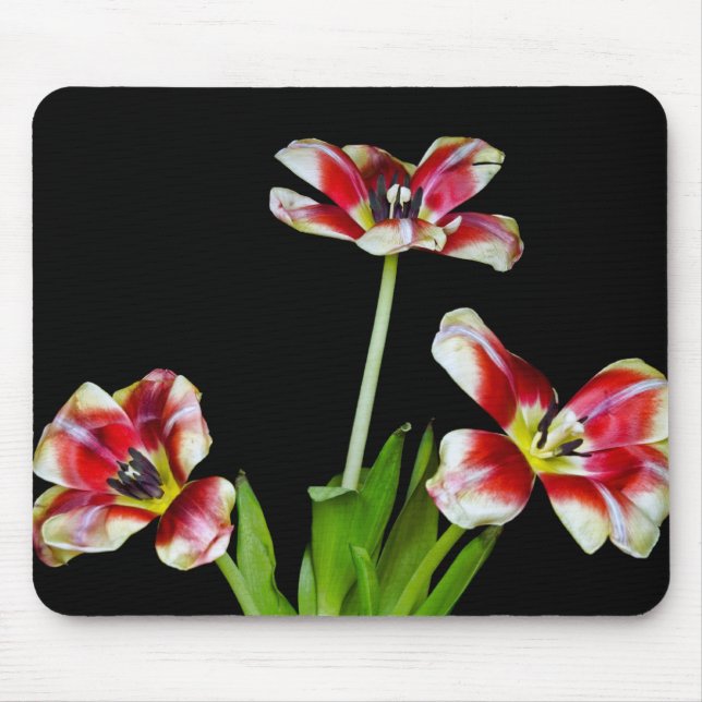 Alfombrilla De Ratón Salir (Frente)