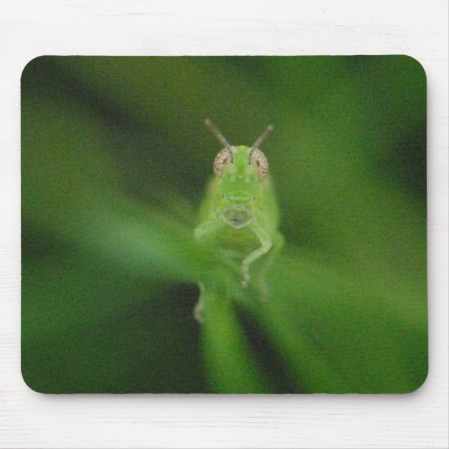 Alfombrilla De Ratón Saltamontes Mousepad (Frente)