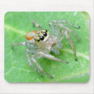 Alfombrilla De Ratón Saltar Spider Salticid Mousepad