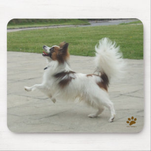 Alfombrilla De Ratón Salto de Papillon