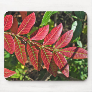 Alfombrilla De Ratón Saltos Sumac En Otoño