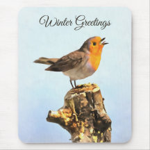 Saludos de invierno. Robin cantando