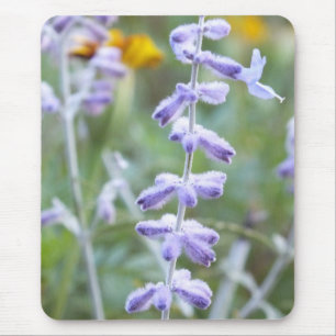 Alfombrilla De Ratón Salvia Rusa Morada -Pervoskia