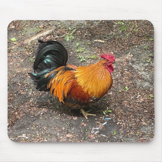 Alfombrilla De Ratón Sam The Rooster Mousepad (Frente)