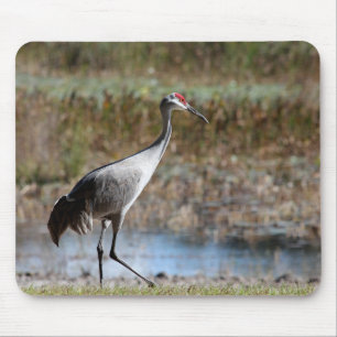 Alfombrilla De Ratón Sandhill Crane