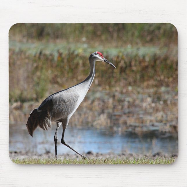 Alfombrilla De Ratón Sandhill Crane (Frente)