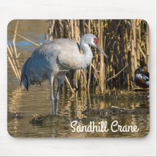 Alfombrilla De Ratón Sandhill Crane