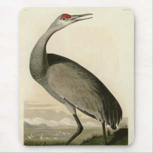 Alfombrilla De Ratón Sandhill Crane de los pájaros de América de Audubo