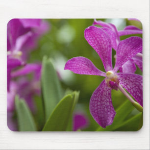 Alfombrilla De Ratón Sánscrito de Singapur para Ciudad León). Naciona