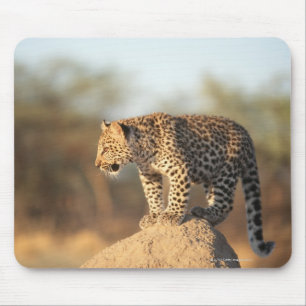 Alfombrilla De Ratón Santuario de fauna de Harnas, Namibia