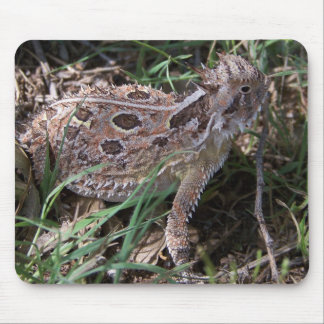 Alfombrilla De Ratón sapo de cuernos
