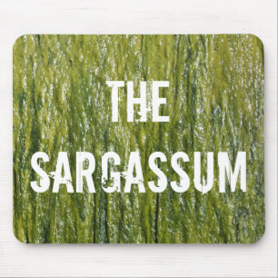 ALFOMBRILLA DE RATÓN ¡SARGASSUM!