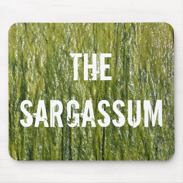 ALFOMBRILLA DE RATÓN ¡SARGASSUM! (Frente)