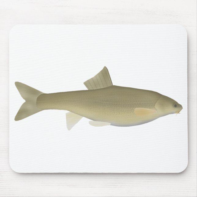 Alfombrilla De Ratón Sattar Snowtrout (Frente)