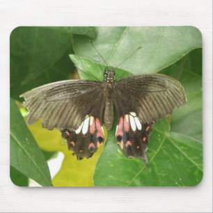 Alfombrilla De Ratón Scarlet Swallowtail Mariposa Mousepad
