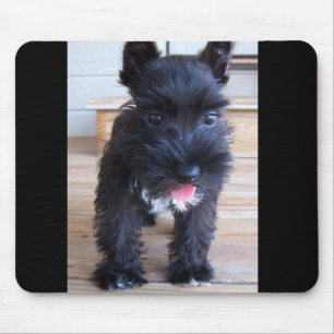 Alfombrilla De Ratón Schnauzer miniatura