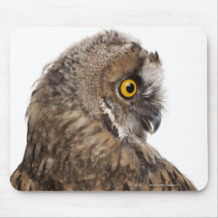 Alfombrilla De Ratón Scops-búho eurasiático - scops del Otus (2 meses
