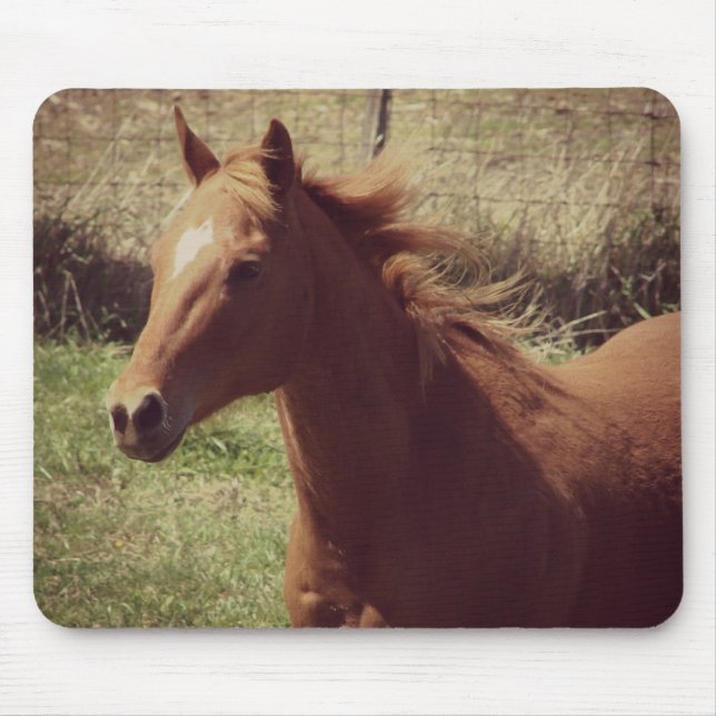 Alfombrilla De Ratón Scotch en movimiento (Frente)