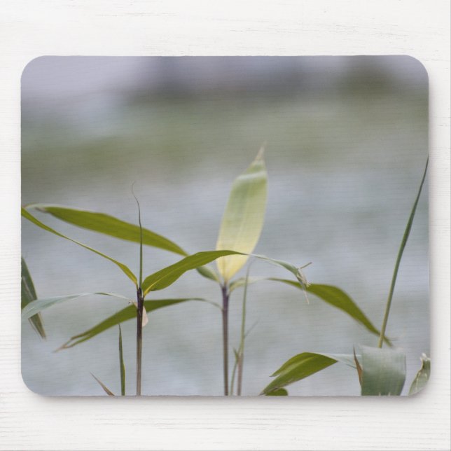 Alfombrilla De Ratón se acerca el invierno (Frente)