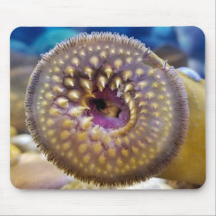 Alfombrilla De Ratón Sea Lamprey Mouth