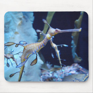 Alfombrilla De Ratón SeaDragon