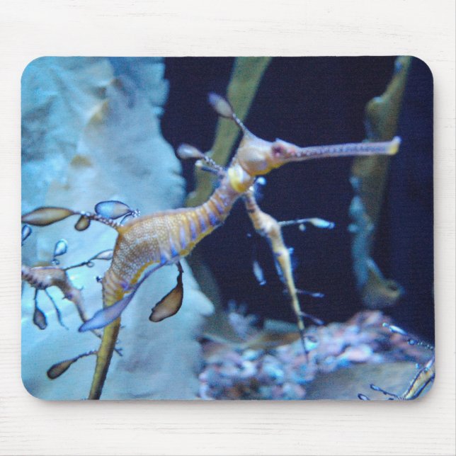 Alfombrilla De Ratón SeaDragon (Frente)
