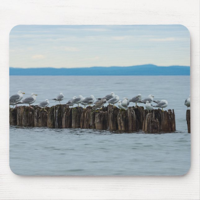 Alfombrilla De Ratón Seagull Breaktime (Frente)