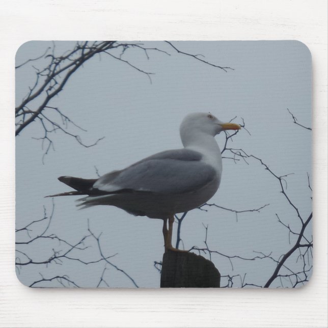 Alfombrilla De Ratón Seagull Mousepad (Frente)