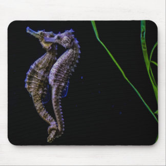 Alfombrilla De Ratón Seahorse Mousepad