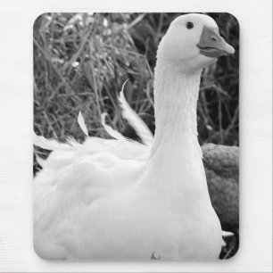 Alfombrilla De Ratón Sebastopol Goose