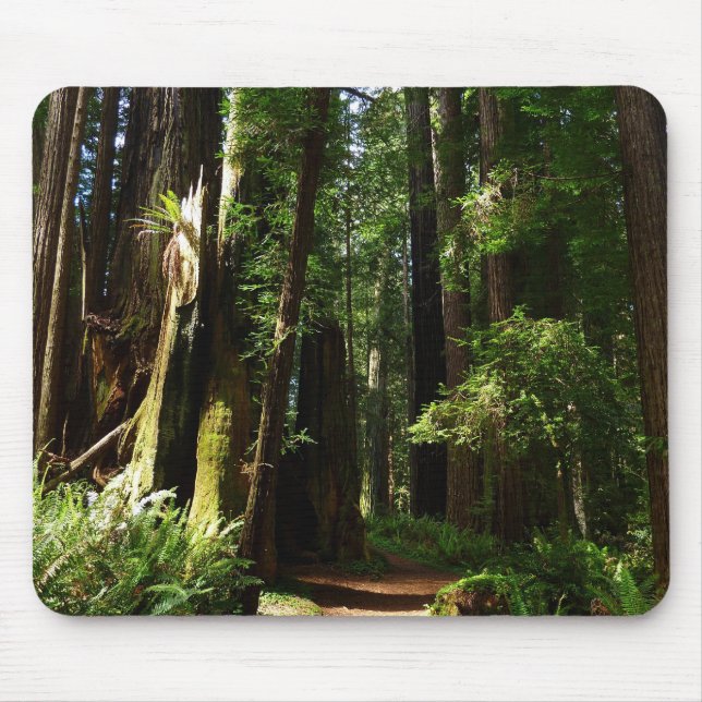 Alfombrilla De Ratón Secuoyas y ferris en el Parque Nacional Redwood (Frente)