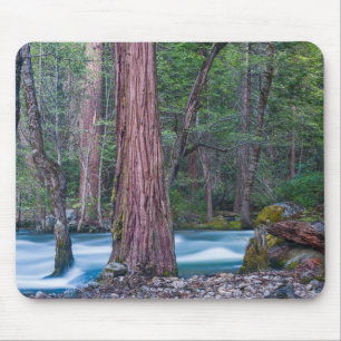 Alfombrilla De Ratón Secuoyas y río Merced Parque Nacional Yosemite, CA