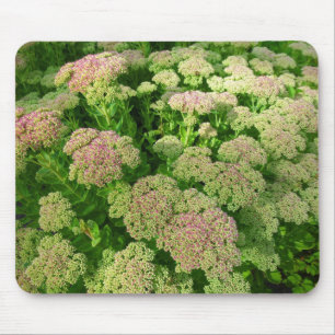 Alfombrilla De Ratón Sedum "Alegría de otoño"