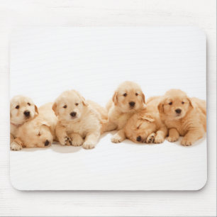 Alfombrilla De Ratón Seis Cachorros de Golden Retriever