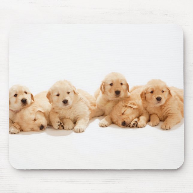 Alfombrilla De Ratón Seis Cachorros de Golden Retriever (Frente)