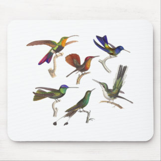 Alfombrilla De Ratón Seis colibríes coloridos
