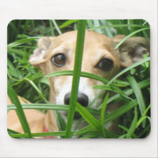 Alfombrilla De Ratón Selva Iggy