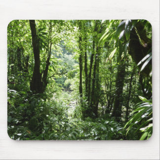 Alfombrilla De Ratón Selva tropical II dominicana de lluvia verde tropi