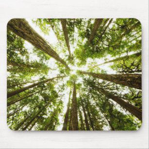 Alfombrilla De Ratón Selva tropical verde enorme