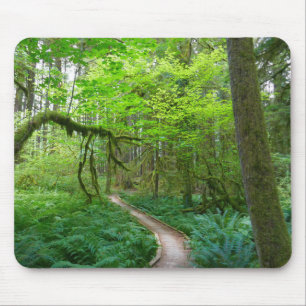 Alfombrilla De Ratón Sendero Ancient Groves en el Parque Nacional Olymp
