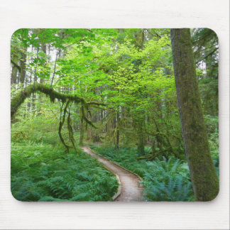 Alfombrilla De Ratón Sendero Ancient Groves en el Parque Nacional Olymp