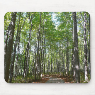 Alfombrilla De Ratón Sendero Arbolado Centenario II Ellicott City Maryl