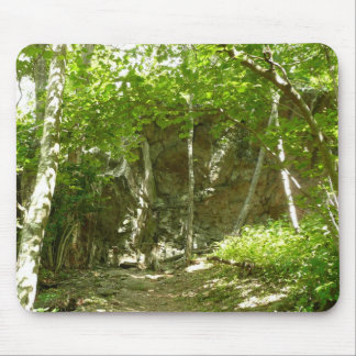 Alfombrilla De Ratón Sendero de Descubrimiento Frazier en Shenandoah Fo