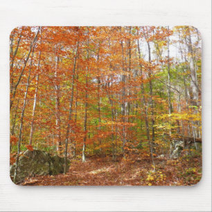 Alfombrilla De Ratón Sendero de otoño con luz solar moteada en Laurel H