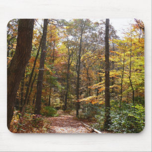 Alfombrilla De Ratón Sendero de Otoño Iluminado por el Sol en Laurel Hi