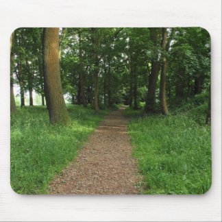 Alfombrilla De Ratón Sendero en los bosques, Bute Park, Cardiff