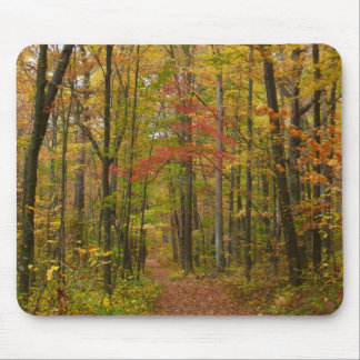 Alfombrilla De Ratón Sendero Laurel Hill en otoño