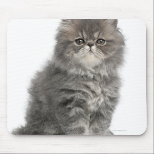 Alfombrilla De Ratón Sentada persa del gatito (2 meses)