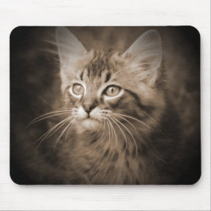 Alfombrilla De Ratón Sepia #1 Mousepad del Coon de Maine